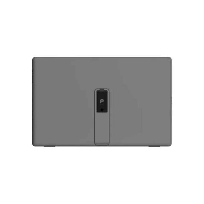 MSI PRO MP161 E2 15.6-inch 60Hz IPS FHD Portable Monitor