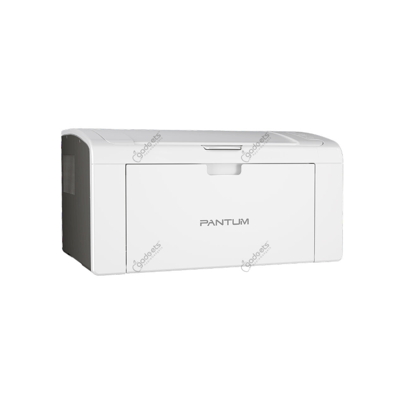 Pantum P2509 Single Function Mono Laser Printer