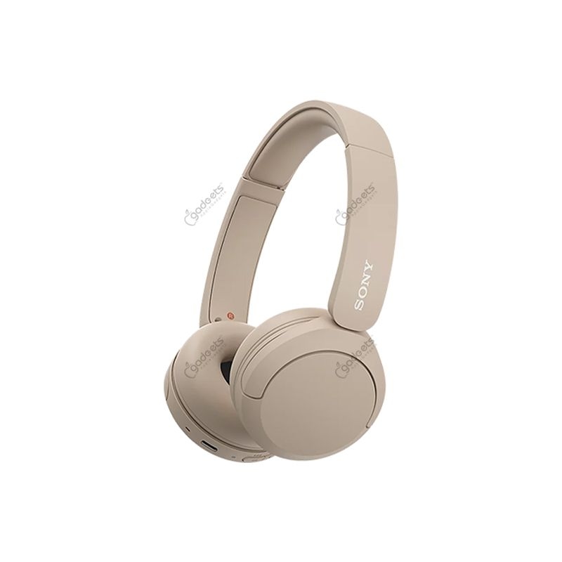 Sony WH-CH520 Overhead Headphone