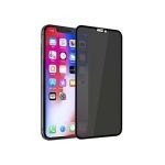 Remax Privacy Glass Protector for iPhone
