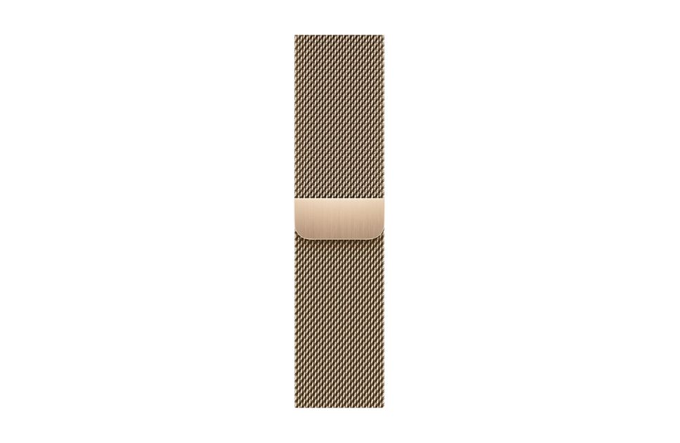 Apple Watch Series 9 (Stainless Steel Frame) Pros & Cons