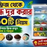 ফ্রিজ থেকে দুর্গন্ধ দূর করার ১০টি নিয়ম