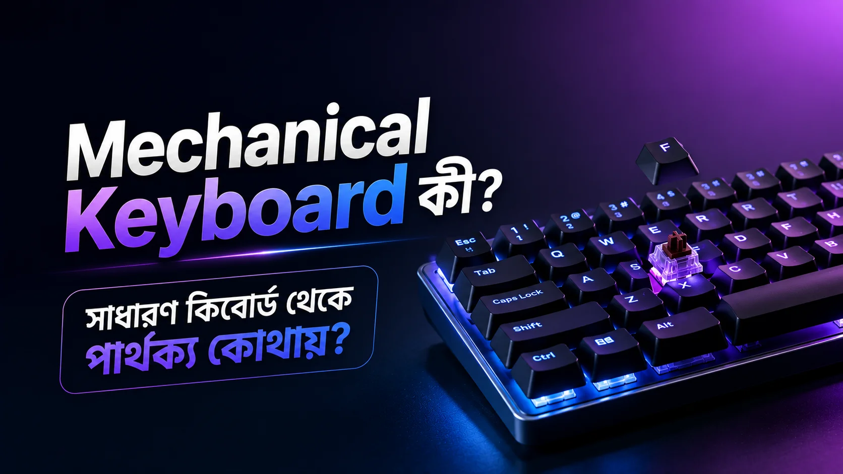 Mechanical Keyboard কী? সাধারণ কিবোর্ড থেকে পার্থক্য কোথায়?